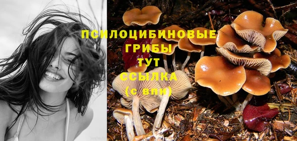 крисы Абинск