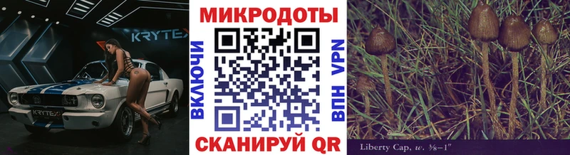 наркотики  KRAKEN tor  Псилоцибиновые грибы ЛСД  Тбилисская 